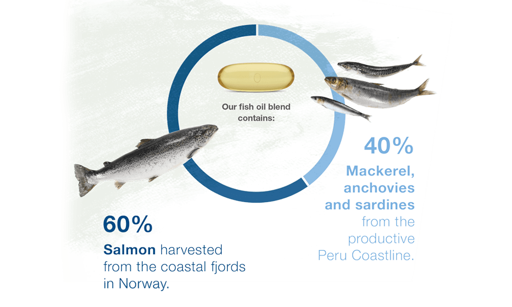 NUTRILITE SALMON OMEGA COMPLEX