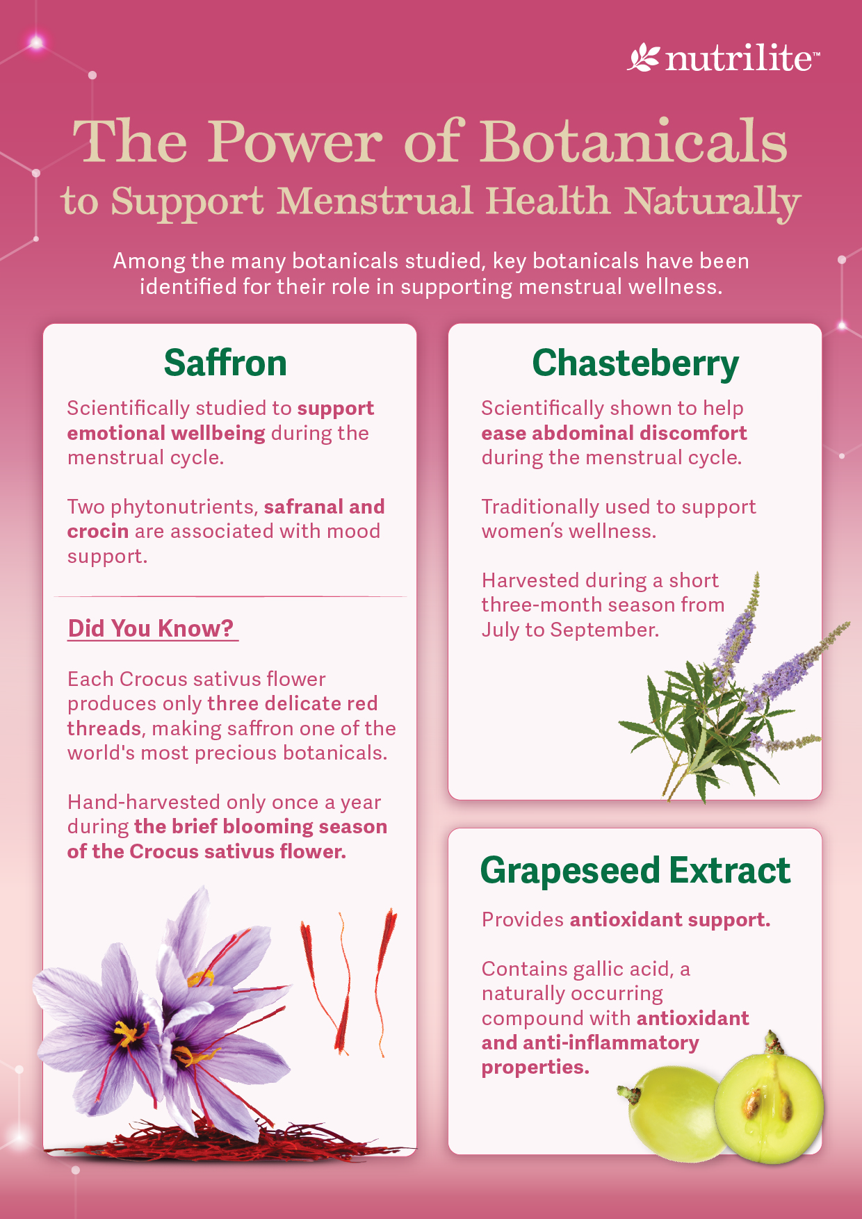 Nutrilite Cycle Support

