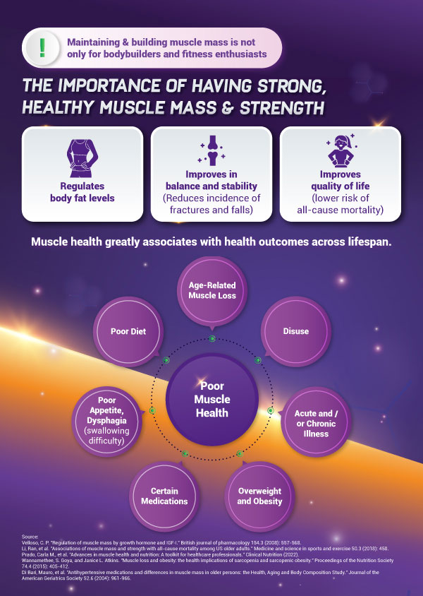 XS Muscle Multiplier

