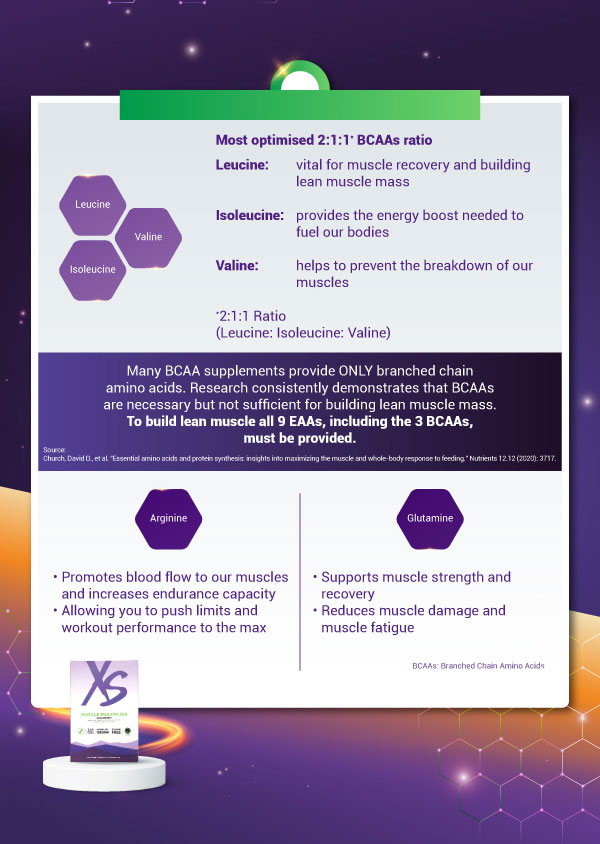 XS Muscle Multiplier

