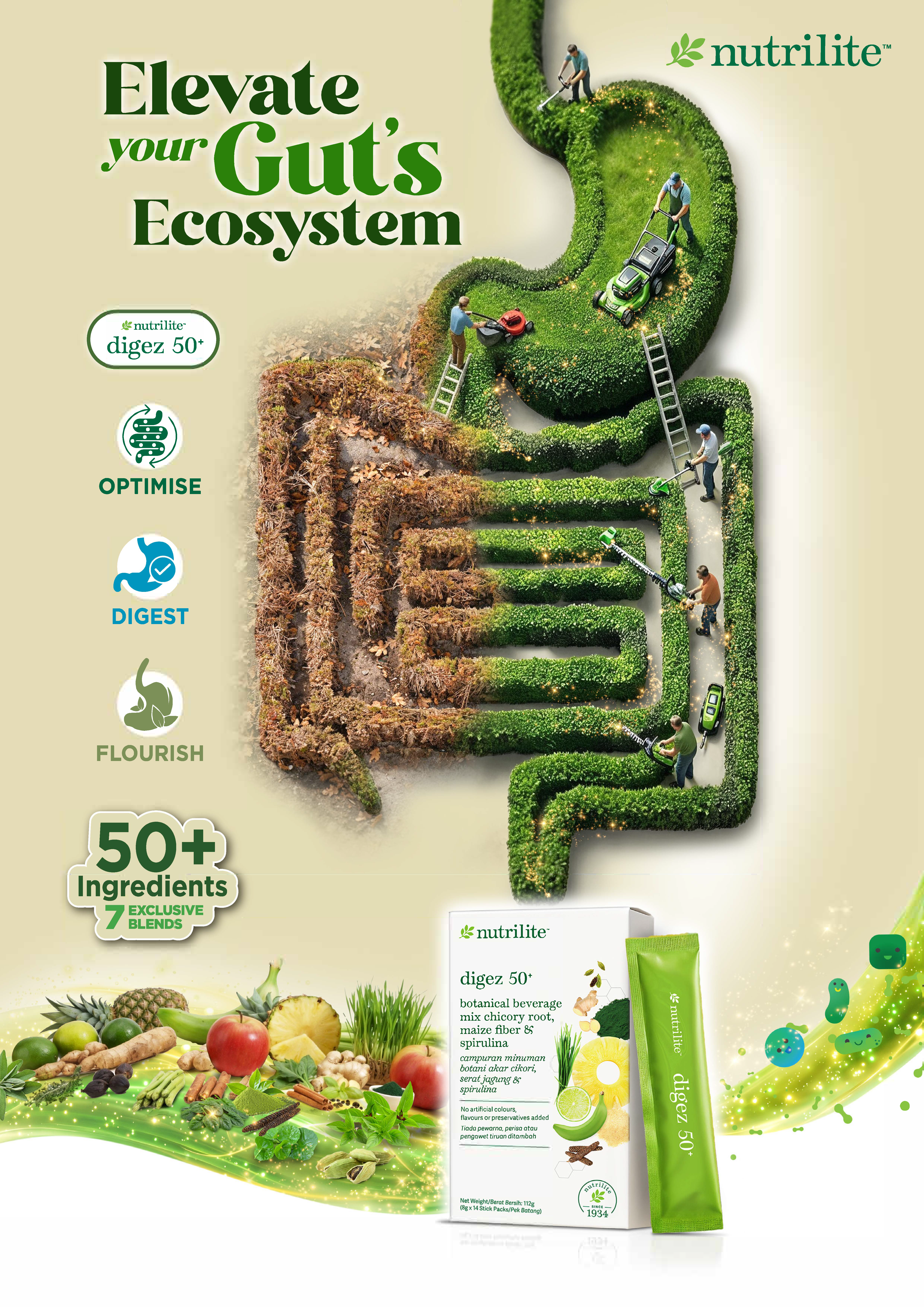 Nutrilite Digez 50+ Botanical Beverage Mix Chicory Root, Maize Fiber & Spirulina

